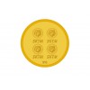 8 Gram 22KT Gold Coin (916 Purity)